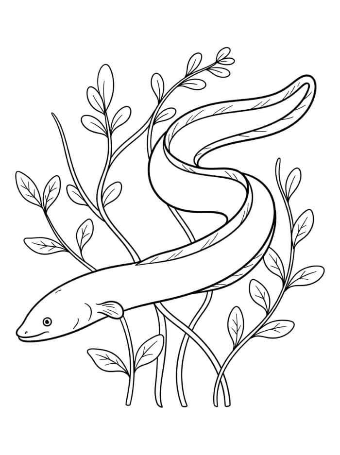 Coloriage Anguille Gratuit