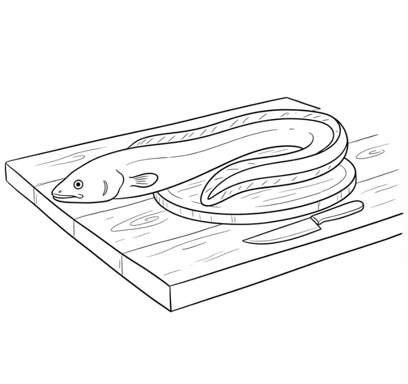 Coloriage Anguille Imprimable Gratuit Pour les Enfants