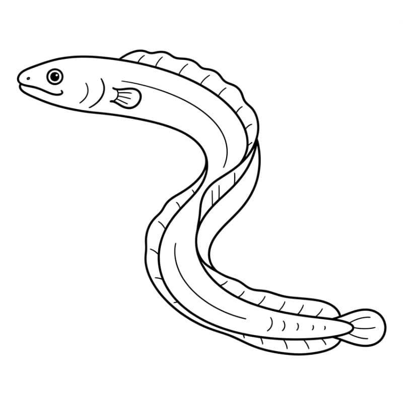 Coloriage Anguille