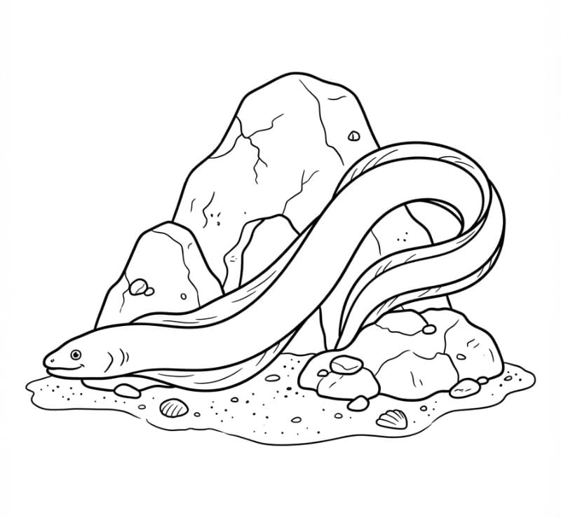 Coloriage Anguille Imprimable Pour les Enfants