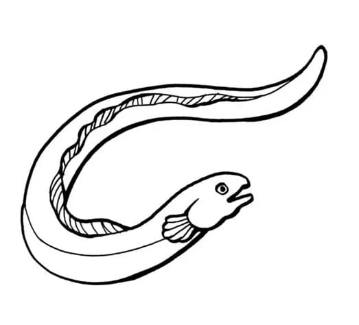 Coloriage Anguille normale