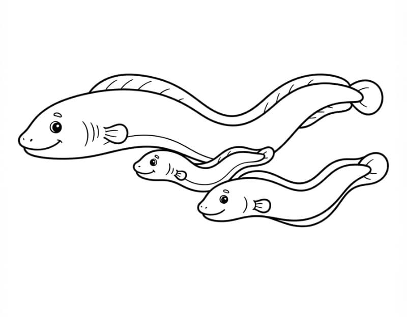 Coloriage Anguille Pour les Enfants