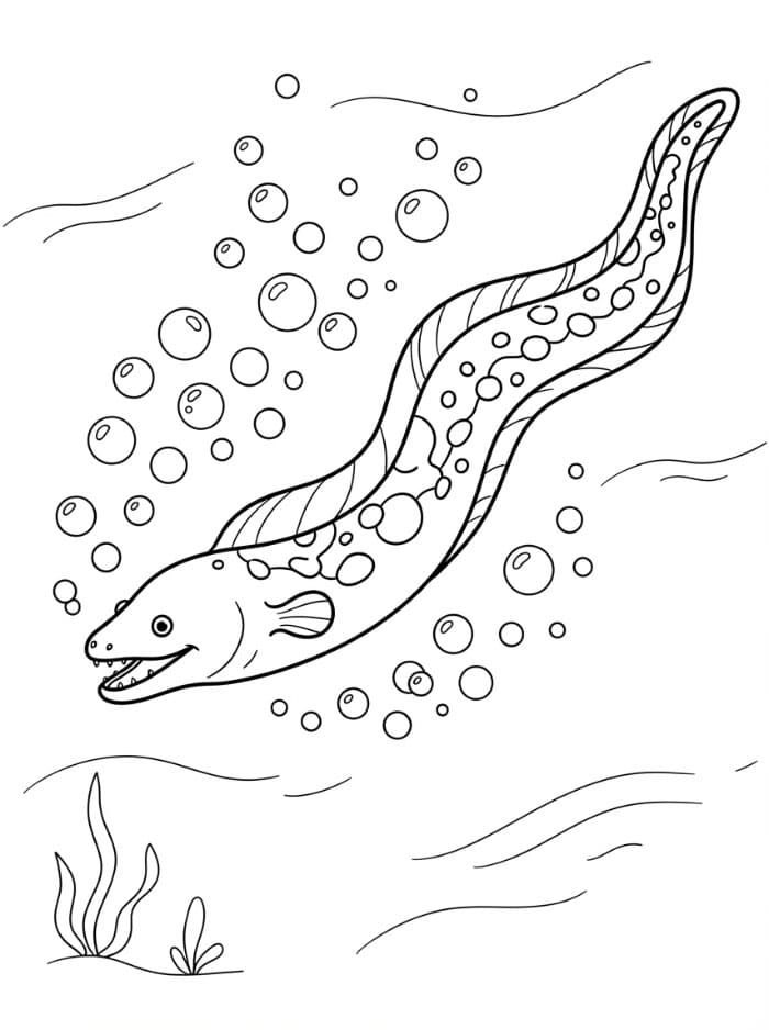 Coloriage Anguille qui nage