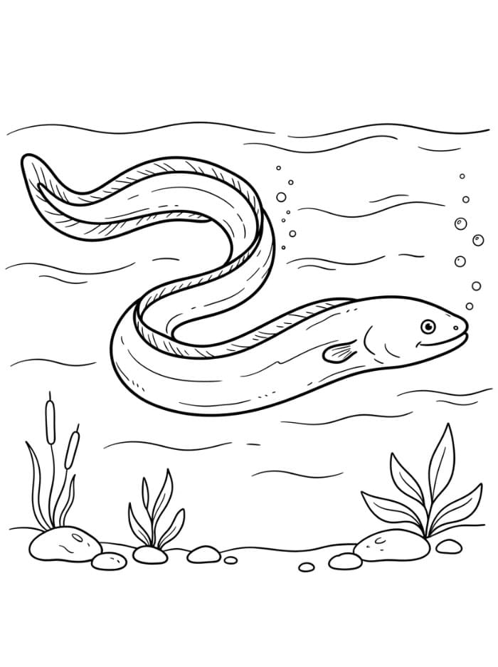 Coloriage Anguille sous l'eau