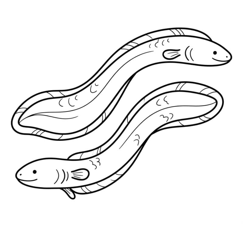 Coloriage Anguilles