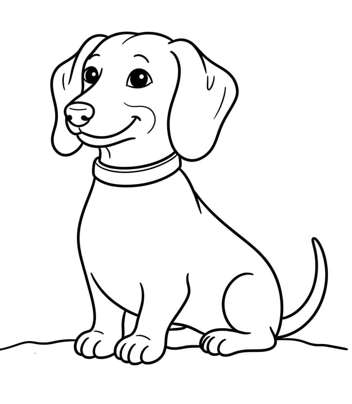 Coloriage Chien teckel