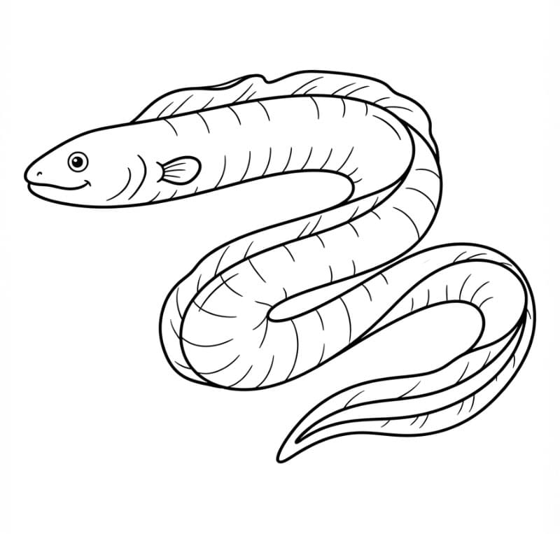 Coloriage Dessin d'une anguille