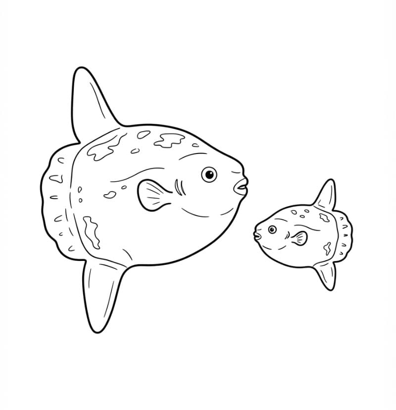 Coloriage Dessin gratuit de poisson-lune