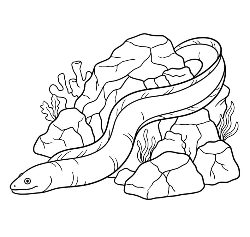 Coloriage Dessin gratuit d'une anguille