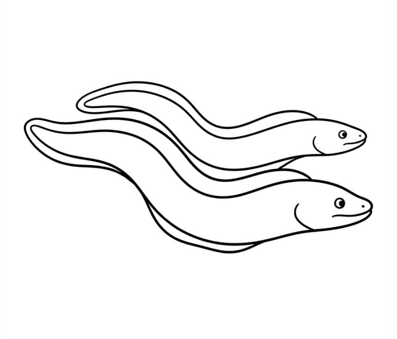 Coloriage Deux anguilles qui nagent