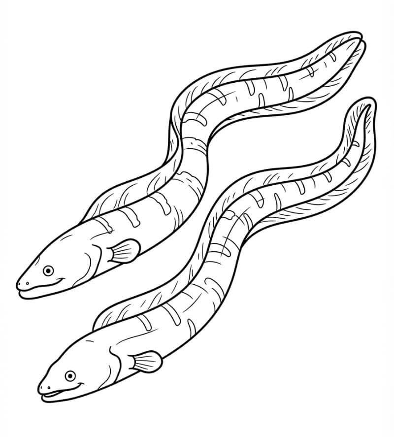 Coloriage Deux anguilles