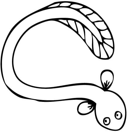Coloriage Gratuit Anguille Pour les Enfants