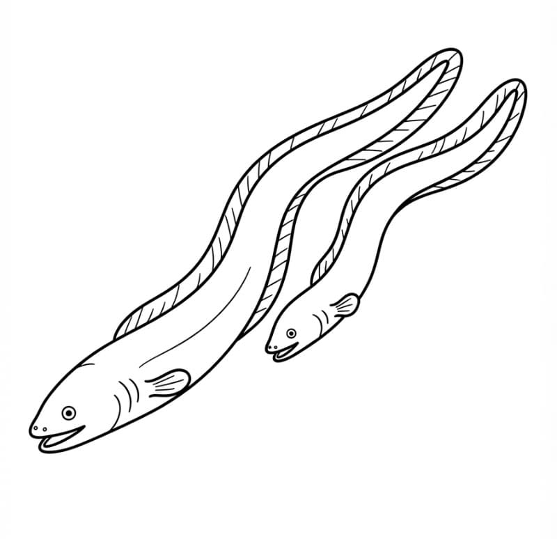 Coloriage Imprimable Gratuit Anguille Pour les Enfants
