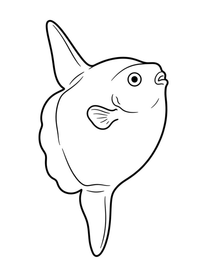 Coloriage Poisson-lune facile