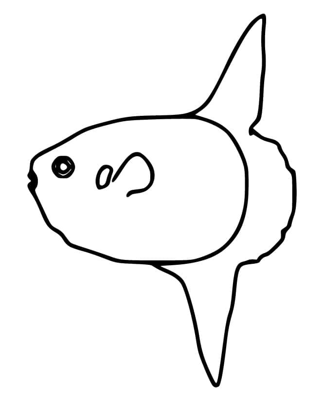 Coloriage Poisson Lune Gratuit