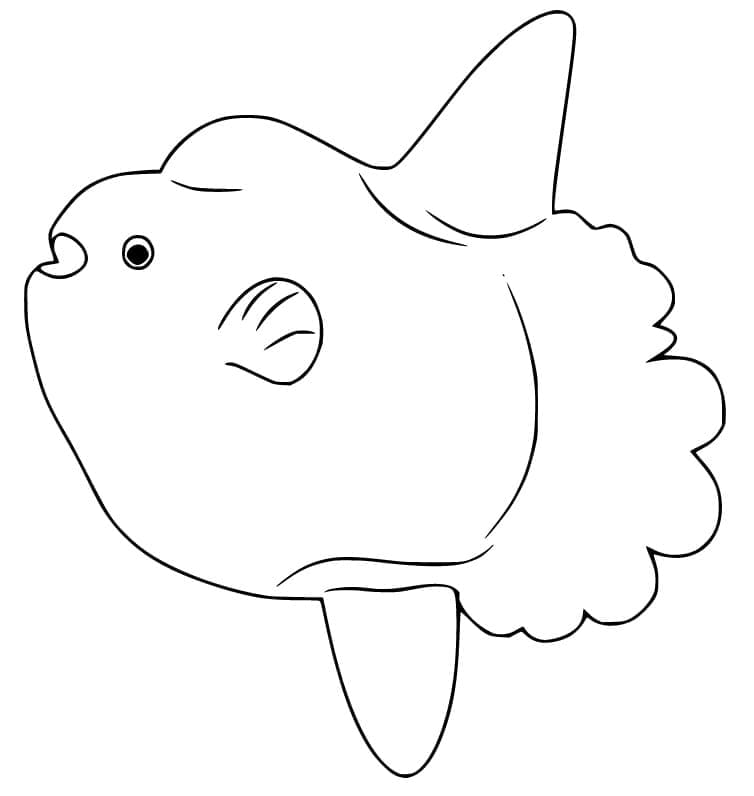 Coloriage Poisson Lune Imprimable Gratuit Pour les Enfants