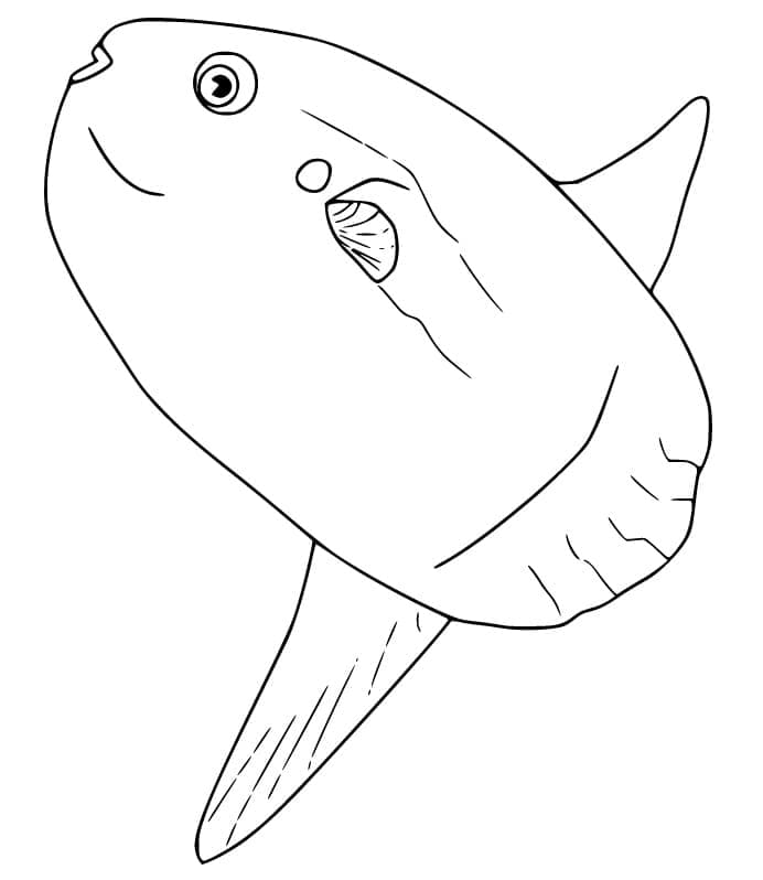 Coloriage Poisson Lune Imprimable Gratuit