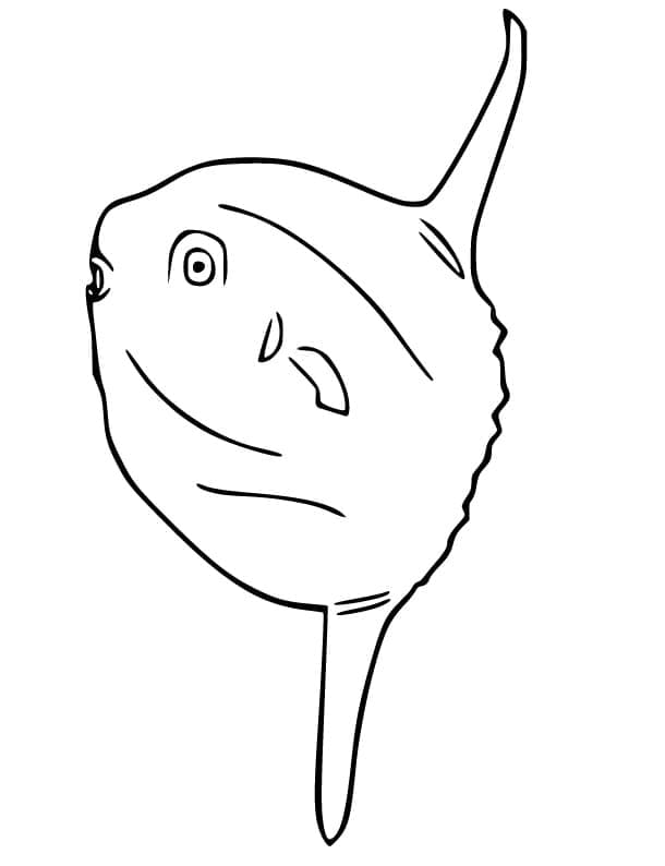 Coloriage Poisson Lune Imprimable