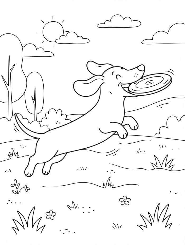 Coloriage Teckel joueur