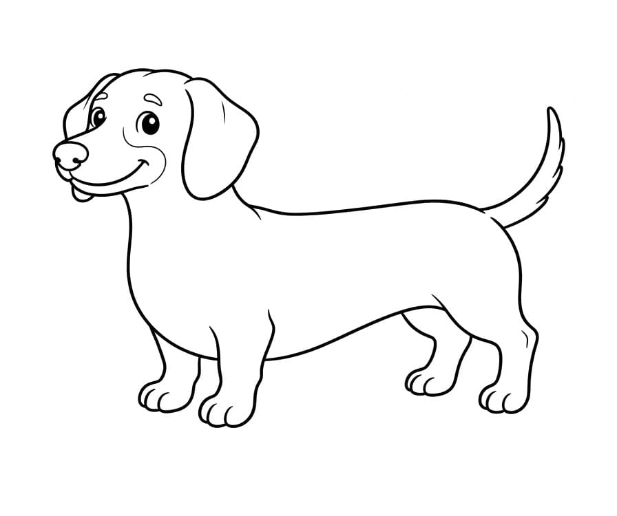 Coloriage Teckel mignon