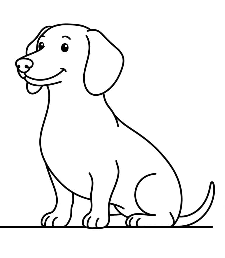 Coloriage Un chien teckel
