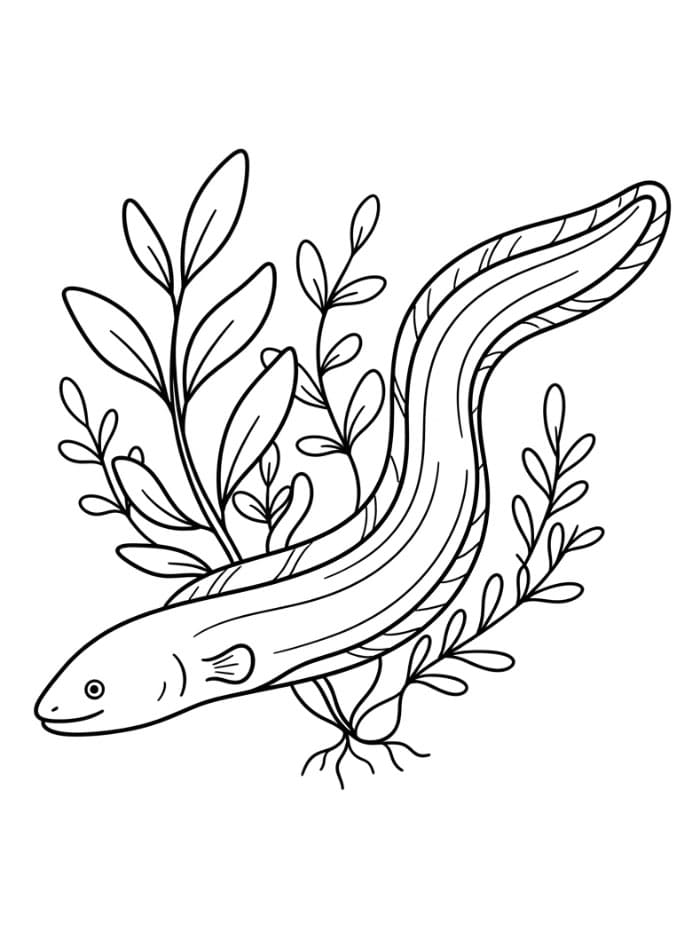 Coloriage Une anguille normale