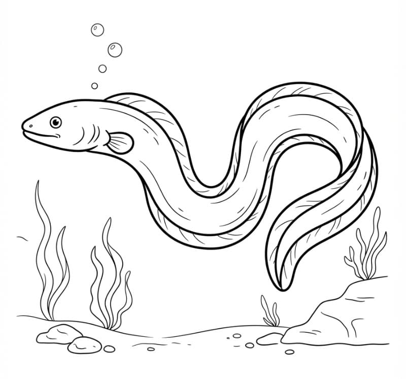 Coloriage Une anguille
