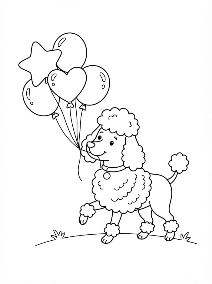 Coloriage Adorable caniche
