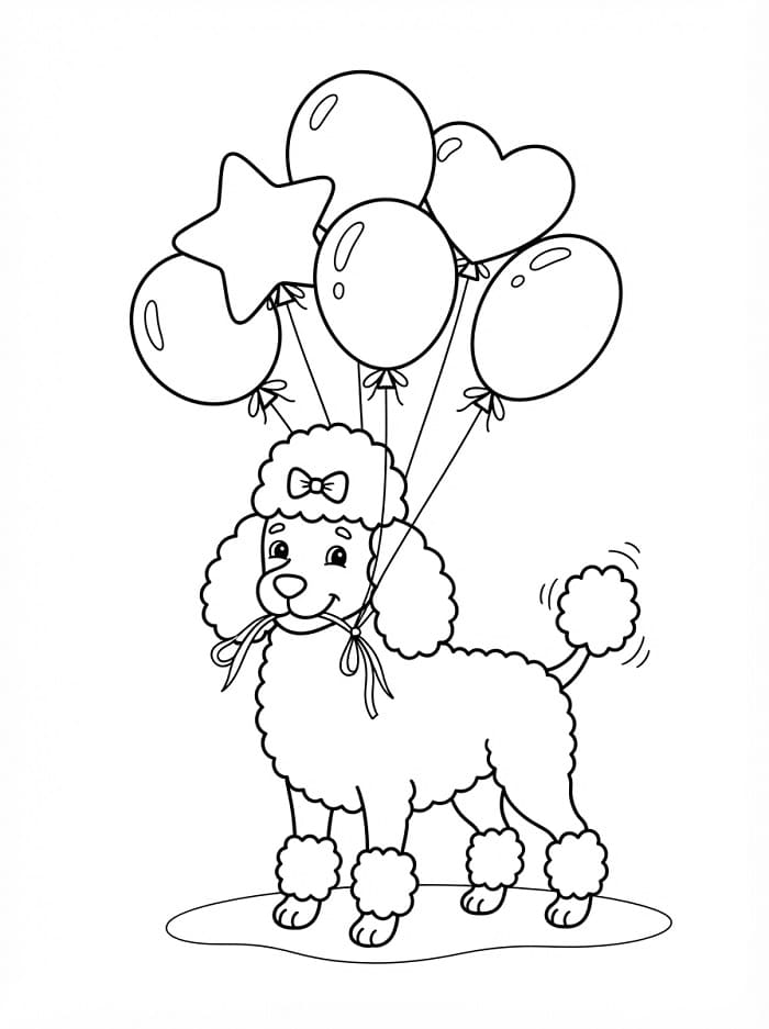 Coloriage Caniche avec des ballons