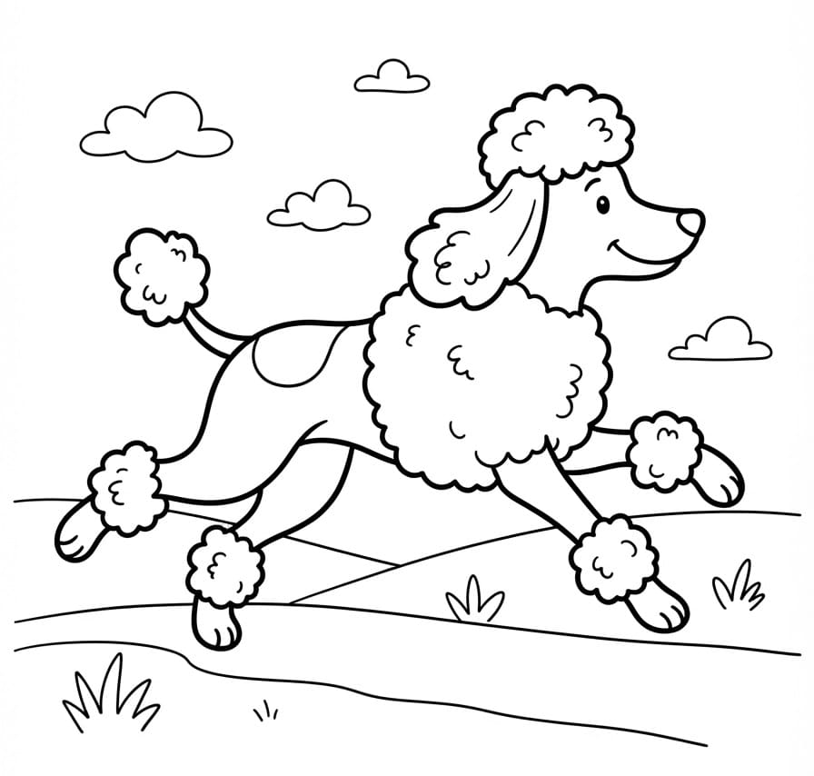 Coloriage Caniche enjoué