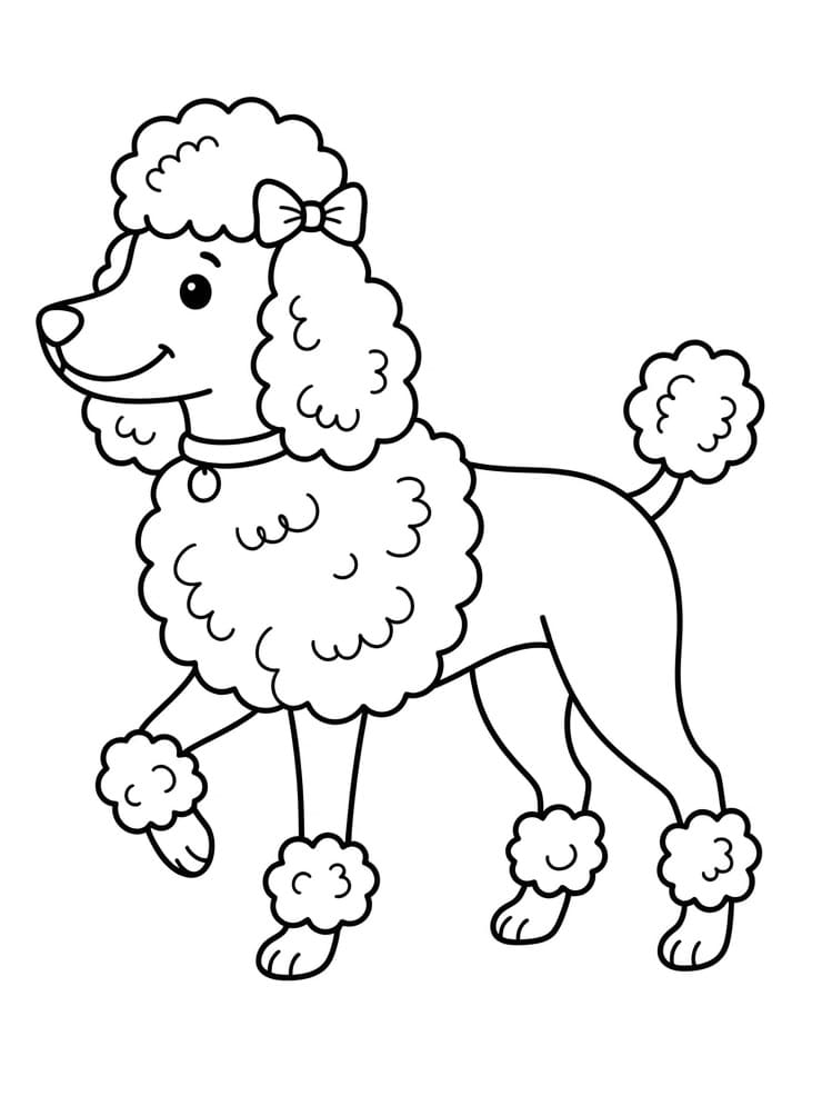 Coloriage Caniche