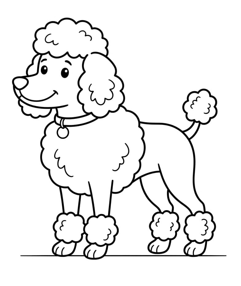 Coloriage Caniche joyeux