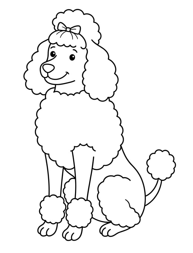 Coloriage Caniche mignon