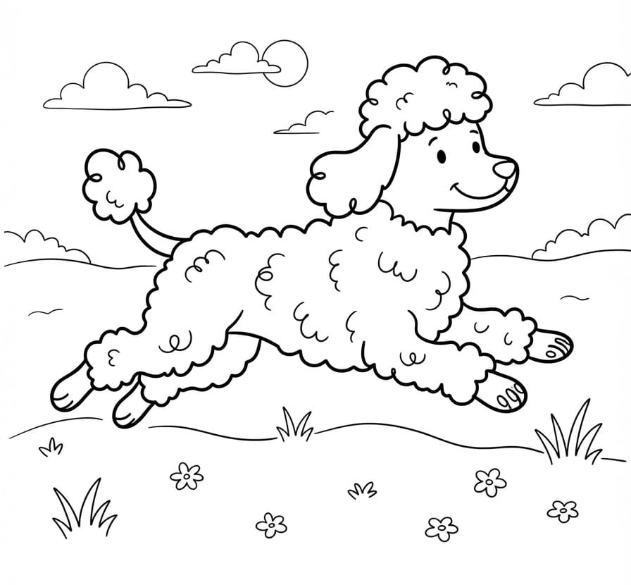 Coloriage Caniche qui court