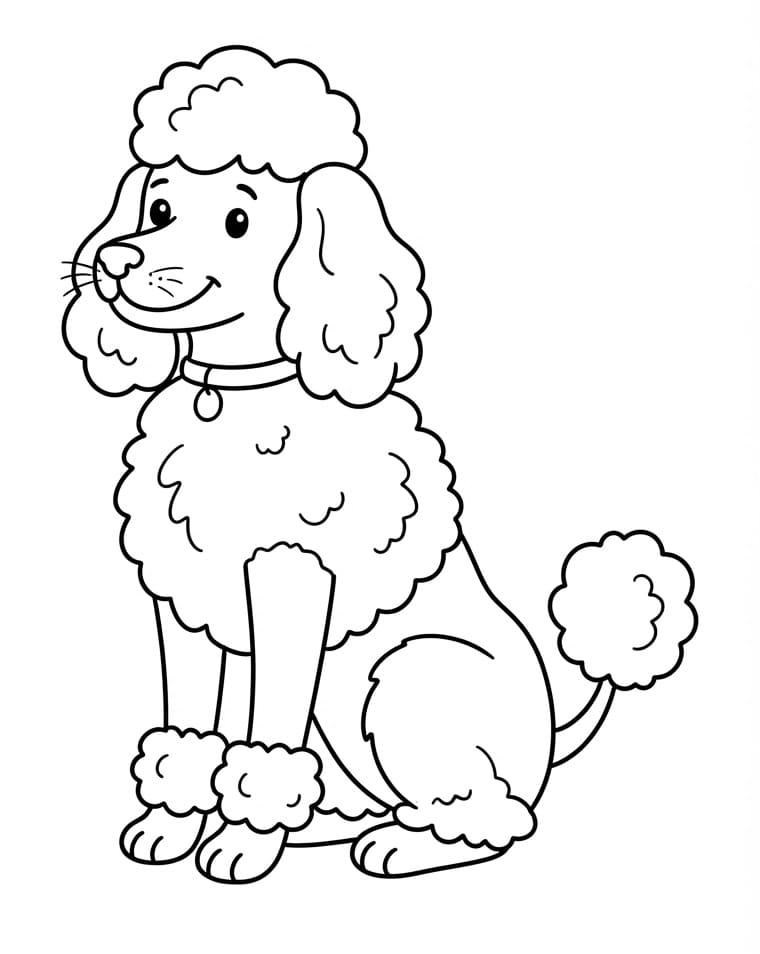 Coloriage Caniche souriant