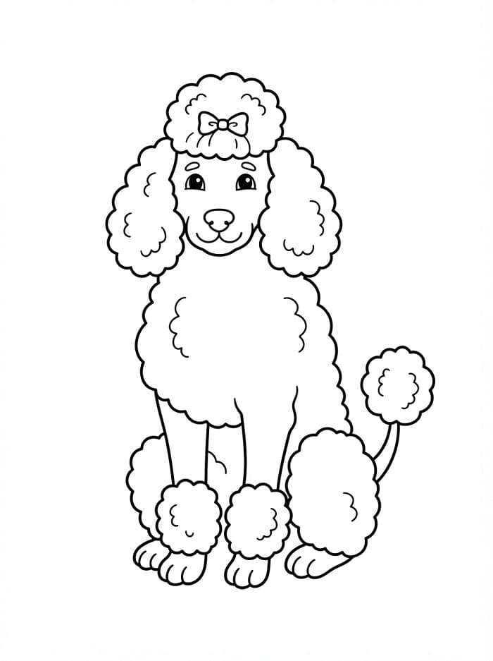 Coloriage Chien caniche