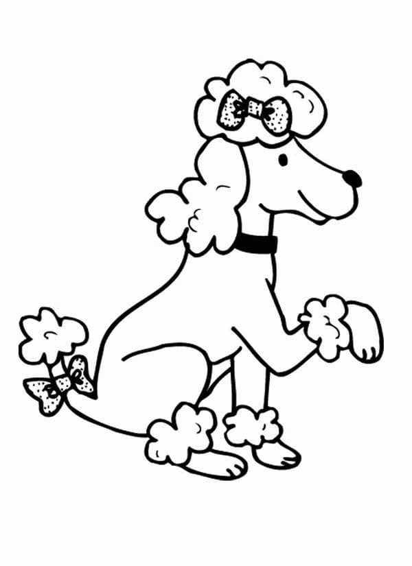 Coloriage Dessin de Caniche Gratuit
