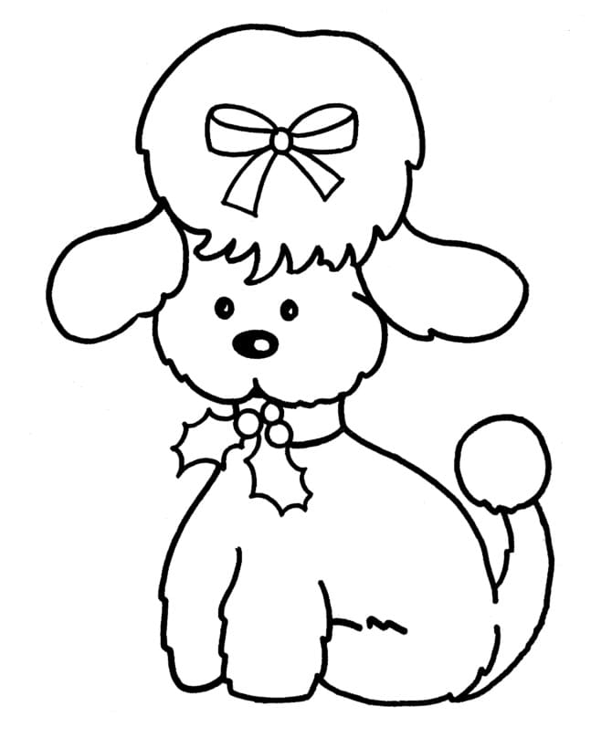 Coloriage Dessin de Caniche