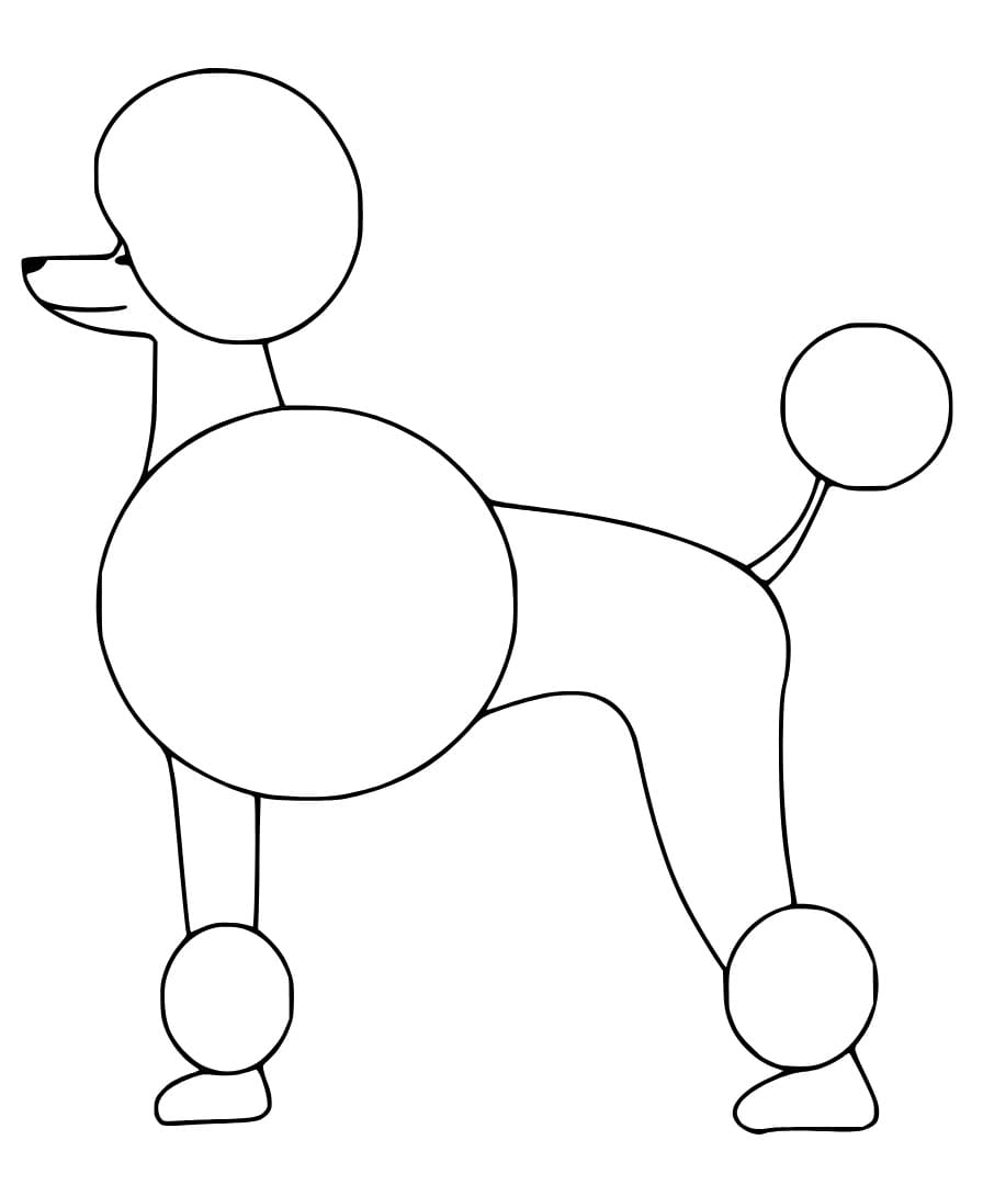 Coloriage Dessin Gratuit de Caniche