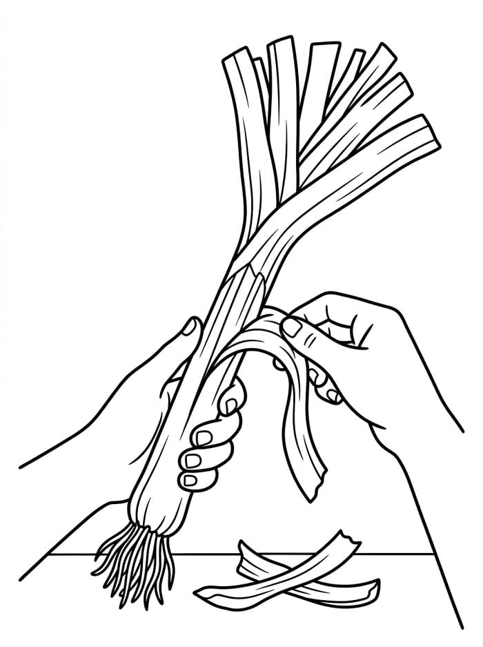 Coloriage Épluchage de poireau