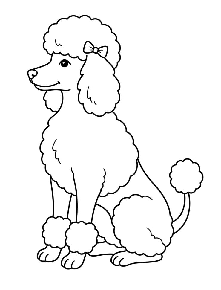 Coloriage Un caniche mignon