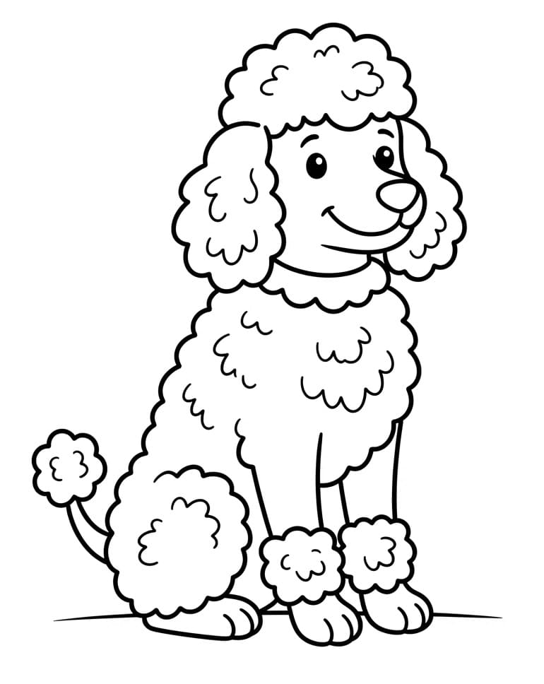 Coloriage Un caniche