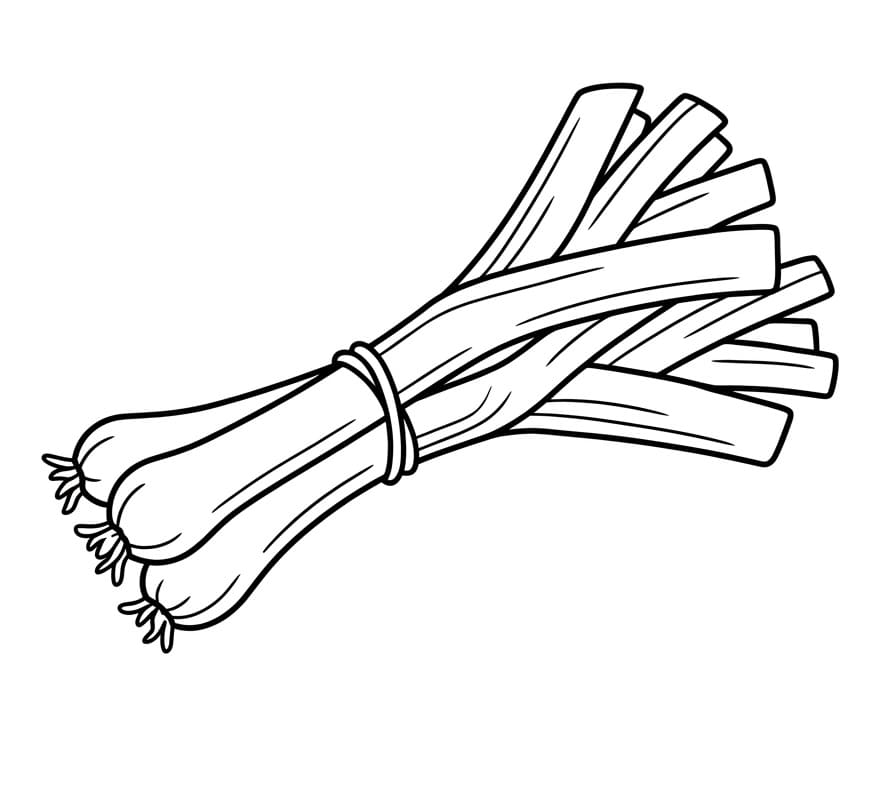 Coloriage Une botte de poireaux